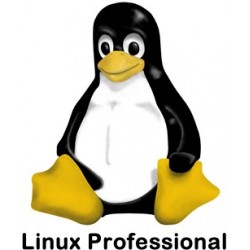 Linux Professional