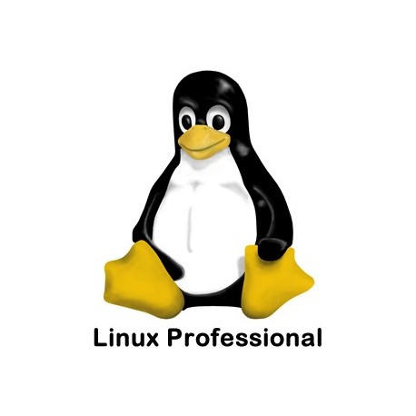 Linux Professional