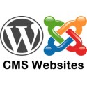 CMS Websites